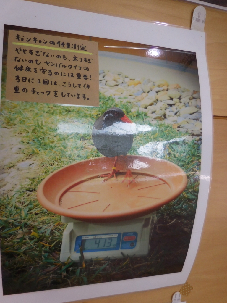 f:id:ayayacha:20171011221948j:plain