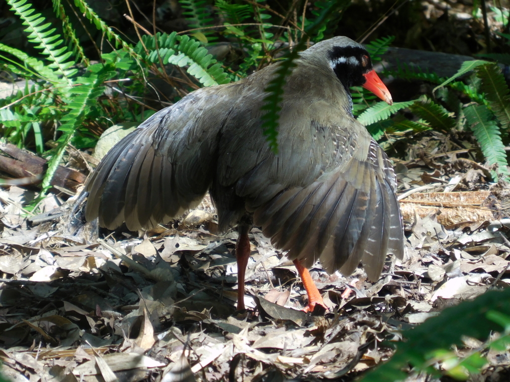 f:id:ayayacha:20171011222102j:plain