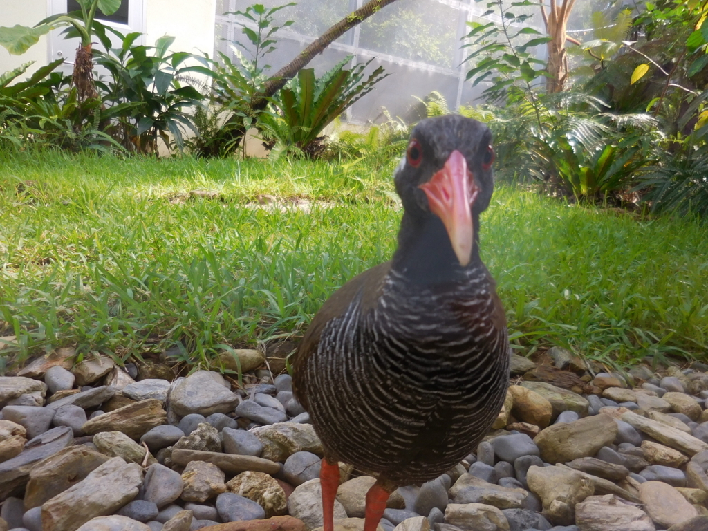 f:id:ayayacha:20171011222238j:plain