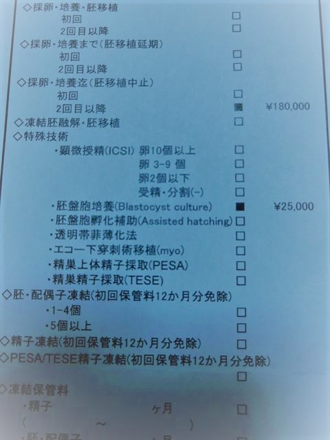 40代(41歳)でも体外受精で妊娠した妻。移植 ...
