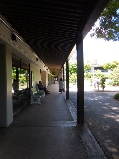f:id:ayayacha:20180923091031j:plain f:id:ayayacha:20180923091031j:plain