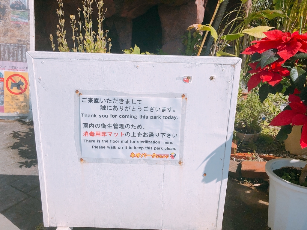 f:id:ayayacha:20190107204444j:plain f:id:ayayacha:20190107204444j:plain