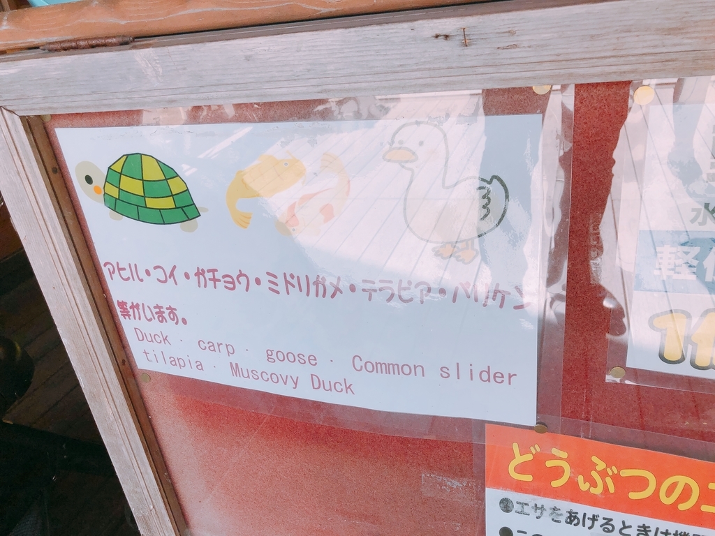 f:id:ayayacha:20190107215409j:plain