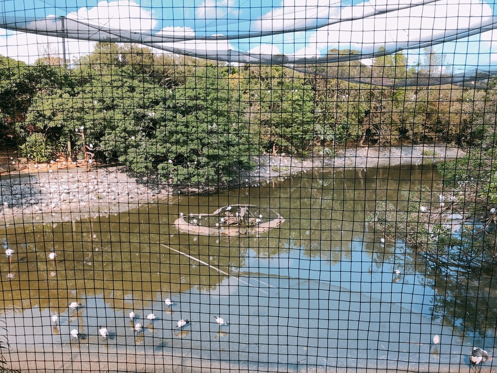 f:id:ayayacha:20190107222104j:plain f:id:ayayacha:20190107222104j:plain