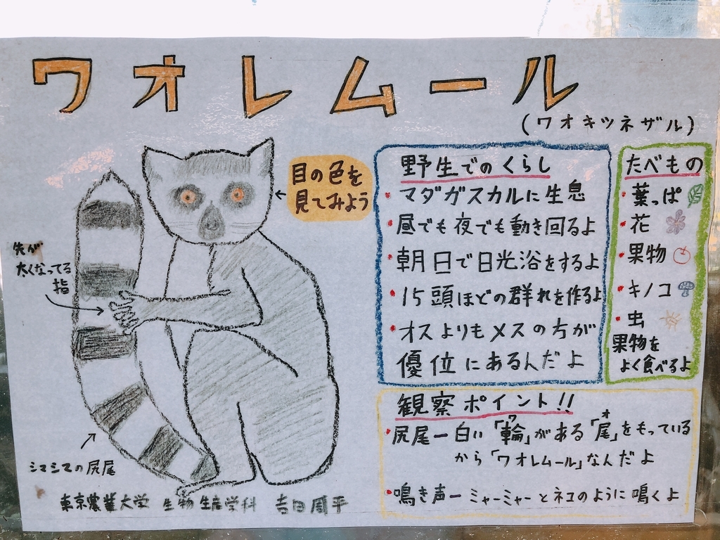 f:id:ayayacha:20190107224330j:plain f:id:ayayacha:20190107224330j:plain