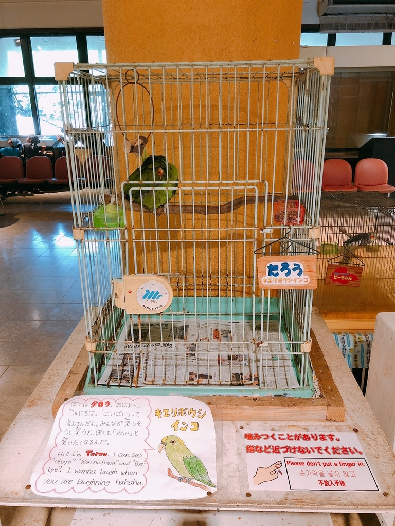 f:id:ayayacha:20190107225025j:plain f:id:ayayacha:20190107225025j:plain