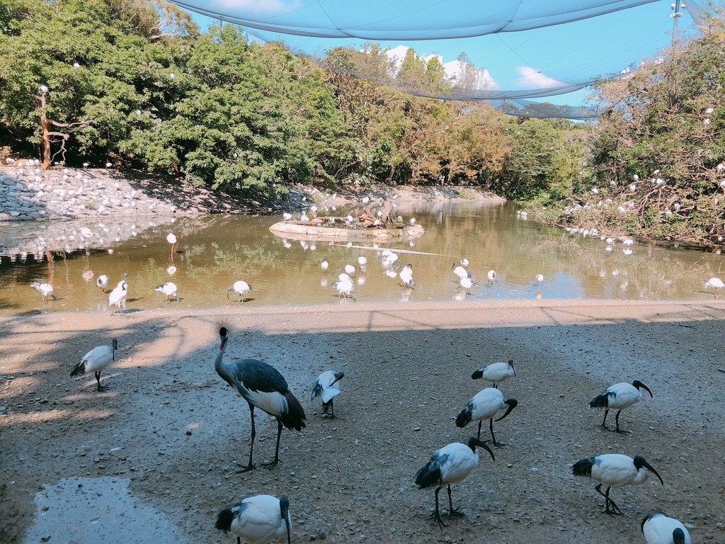 f:id:ayayacha:20190111230915j:plain f:id:ayayacha:20190111230915j:plain