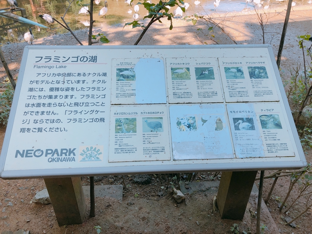 f:id:ayayacha:20190111230920j:plain f:id:ayayacha:20190111230920j:plain