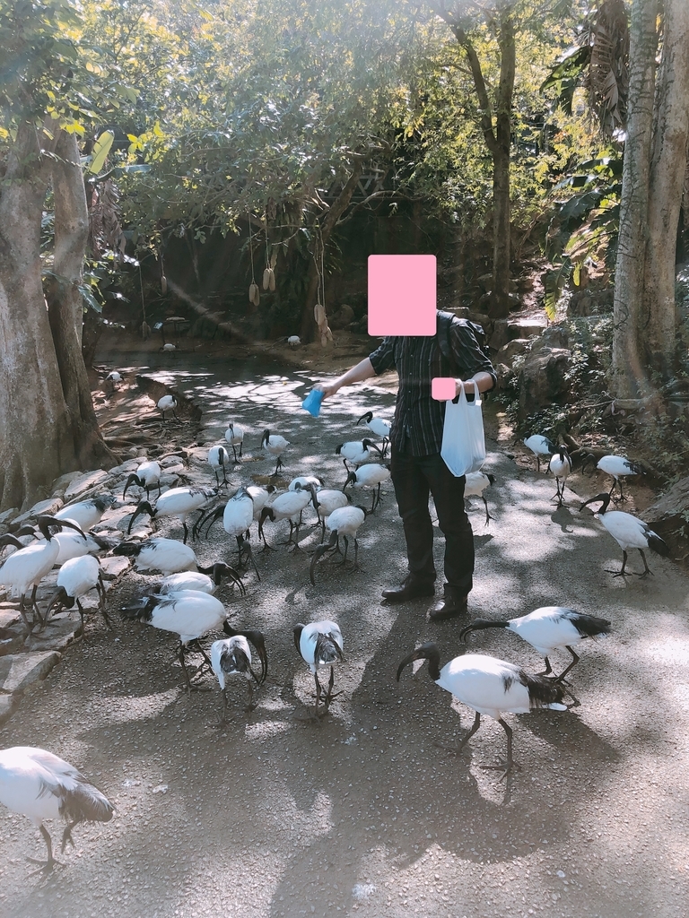 f:id:ayayacha:20190111231119j:plain f:id:ayayacha:20190111231119j:plain