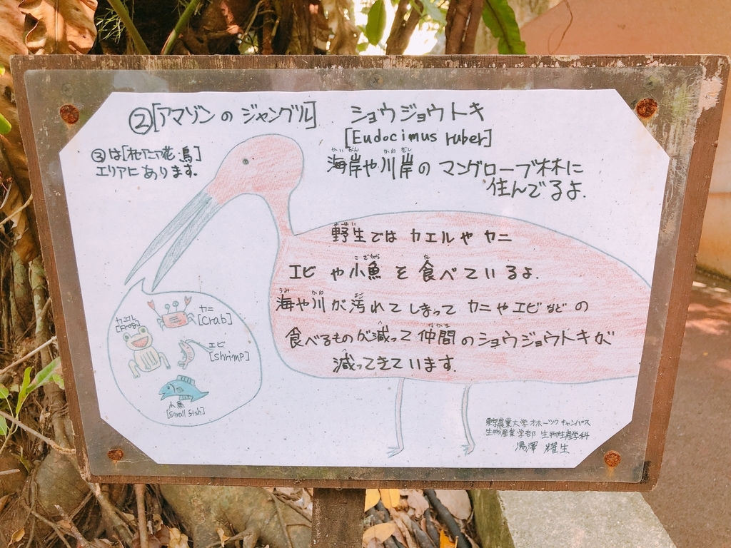 f:id:ayayacha:20190111231214j:plain f:id:ayayacha:20190111231214j:plain