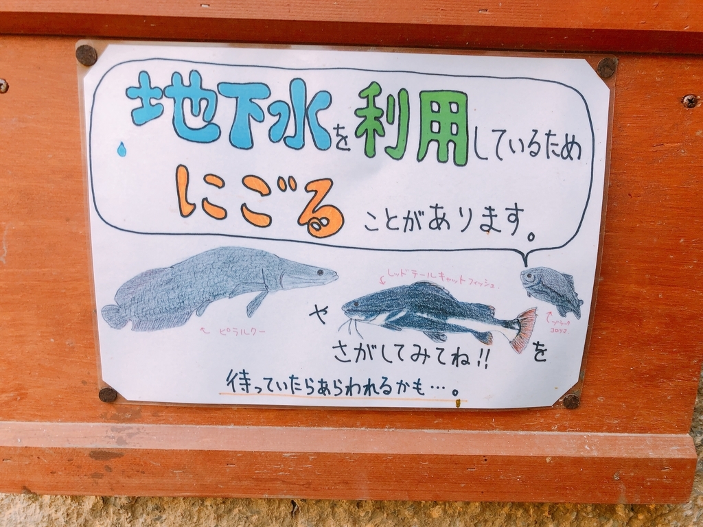 f:id:ayayacha:20190111231234j:plain f:id:ayayacha:20190111231234j:plain