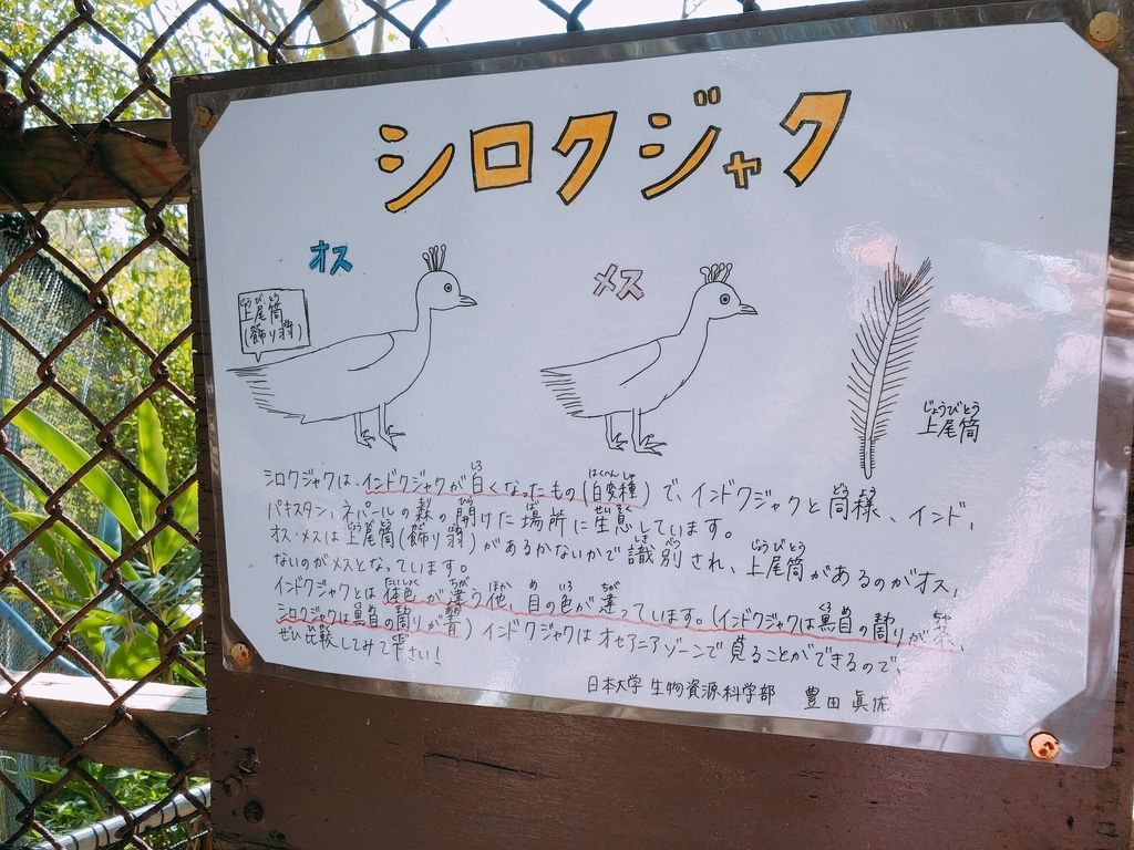 f:id:ayayacha:20190112075433j:plain f:id:ayayacha:20190112075433j:plain