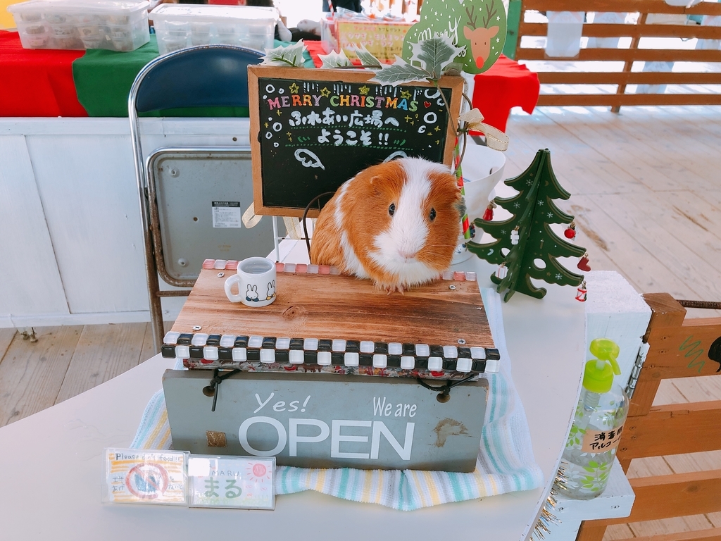 f:id:ayayacha:20190112075611j:plain f:id:ayayacha:20190112075611j:plain