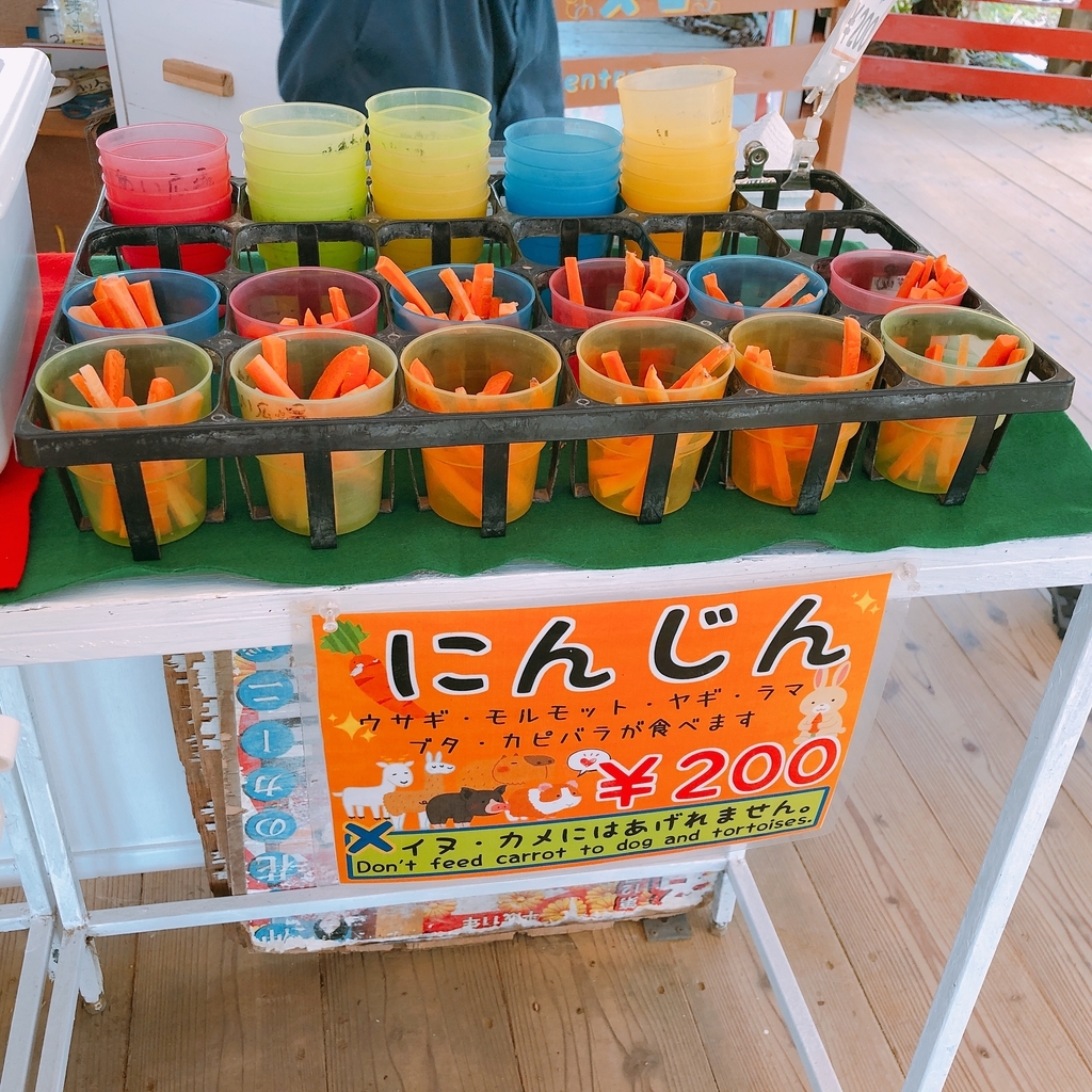 f:id:ayayacha:20190112080610j:plain f:id:ayayacha:20190112080610j:plain