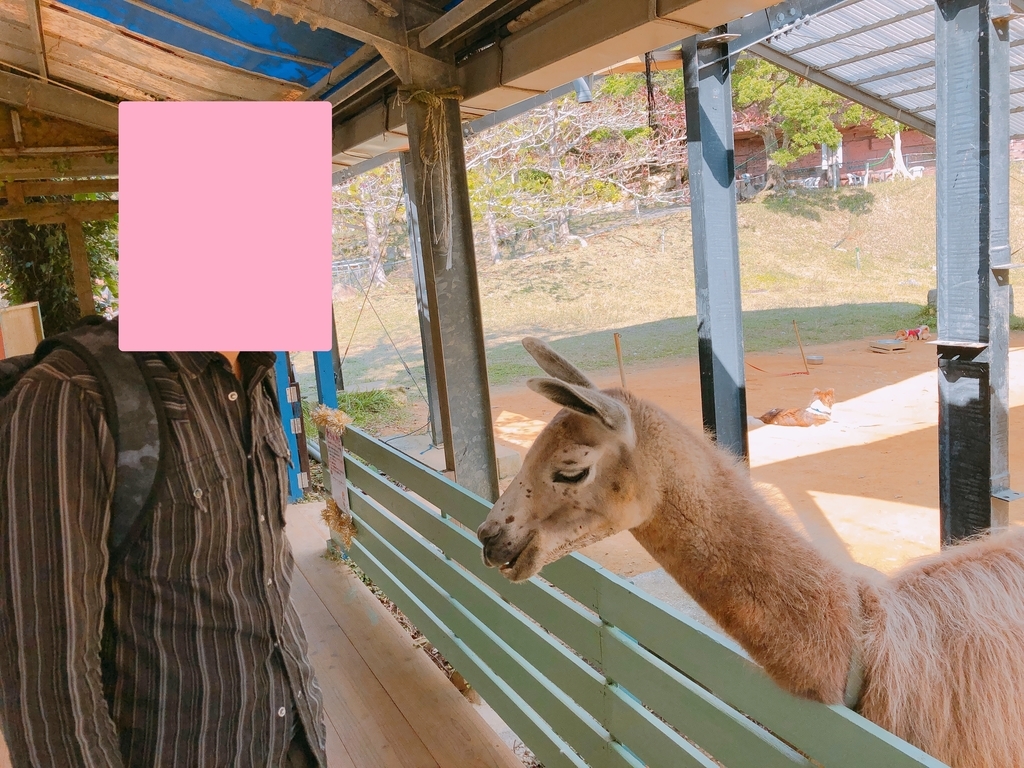 f:id:ayayacha:20190112081115j:plain f:id:ayayacha:20190112081115j:plain