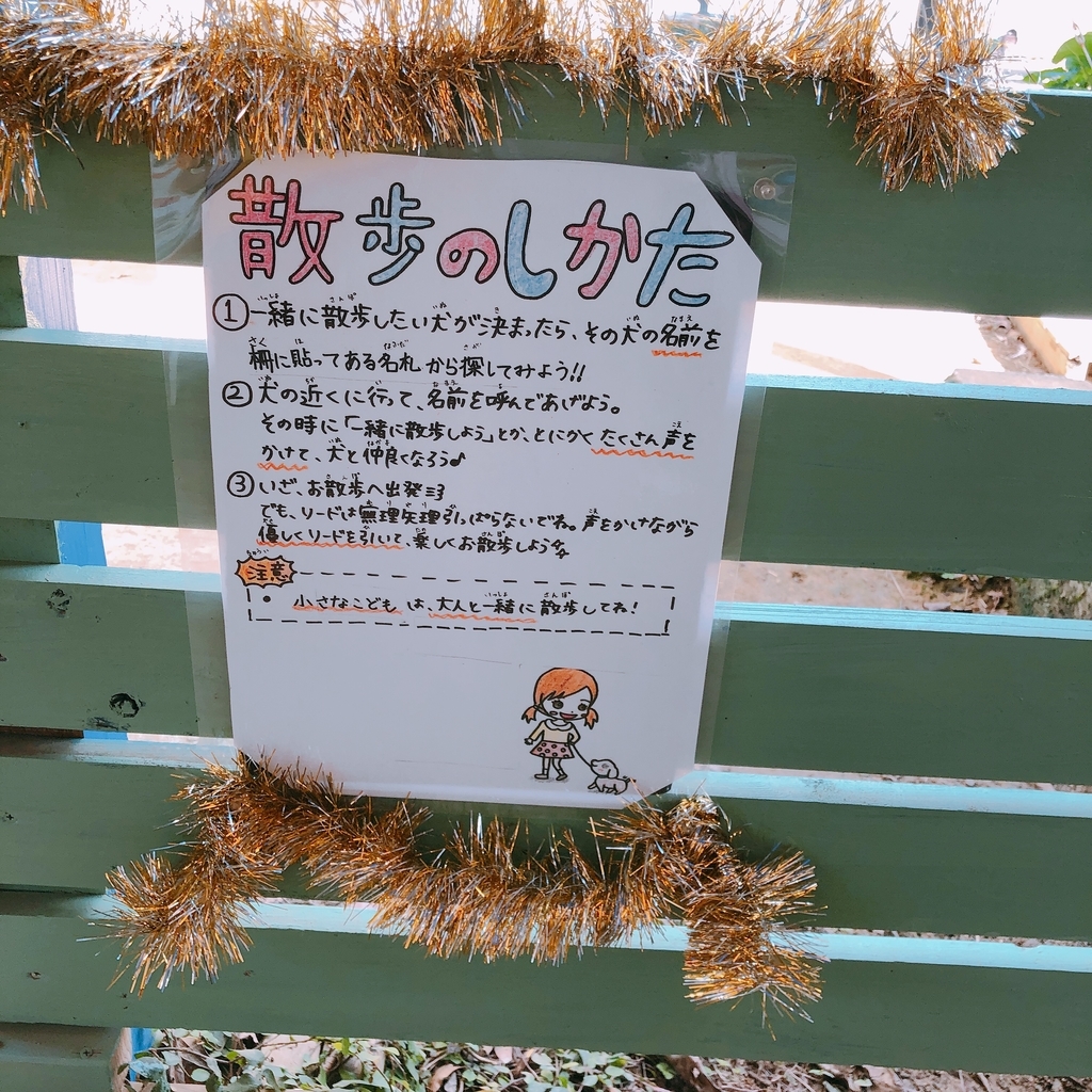 f:id:ayayacha:20190112085231j:plain f:id:ayayacha:20190112085231j:plain