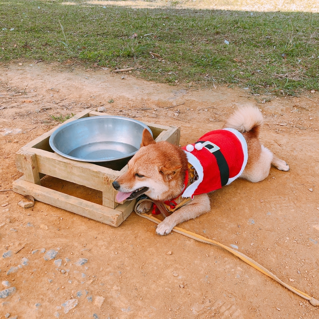 f:id:ayayacha:20190112085314j:plain f:id:ayayacha:20190112085314j:plain