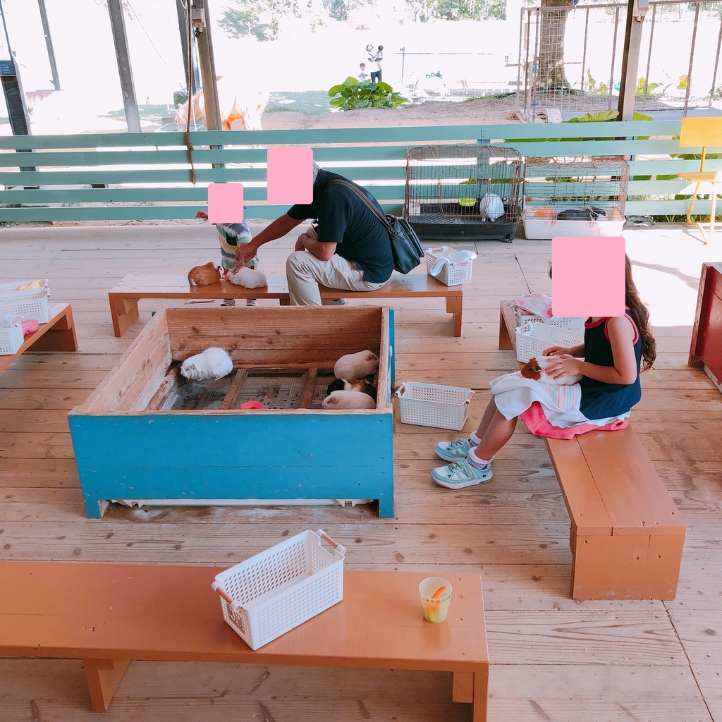 f:id:ayayacha:20190112085419j:plain f:id:ayayacha:20190112085419j:plain