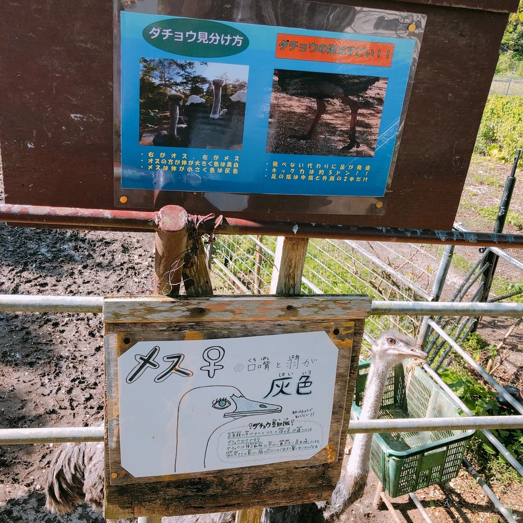 f:id:ayayacha:20190112121553j:plain f:id:ayayacha:20190112121553j:plain