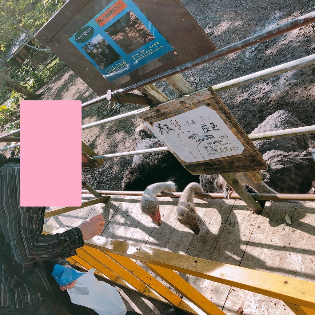 f:id:ayayacha:20190112121937j:plain f:id:ayayacha:20190112121937j:plain