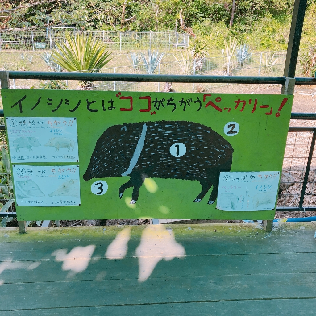 f:id:ayayacha:20190112125044j:plain f:id:ayayacha:20190112125044j:plain