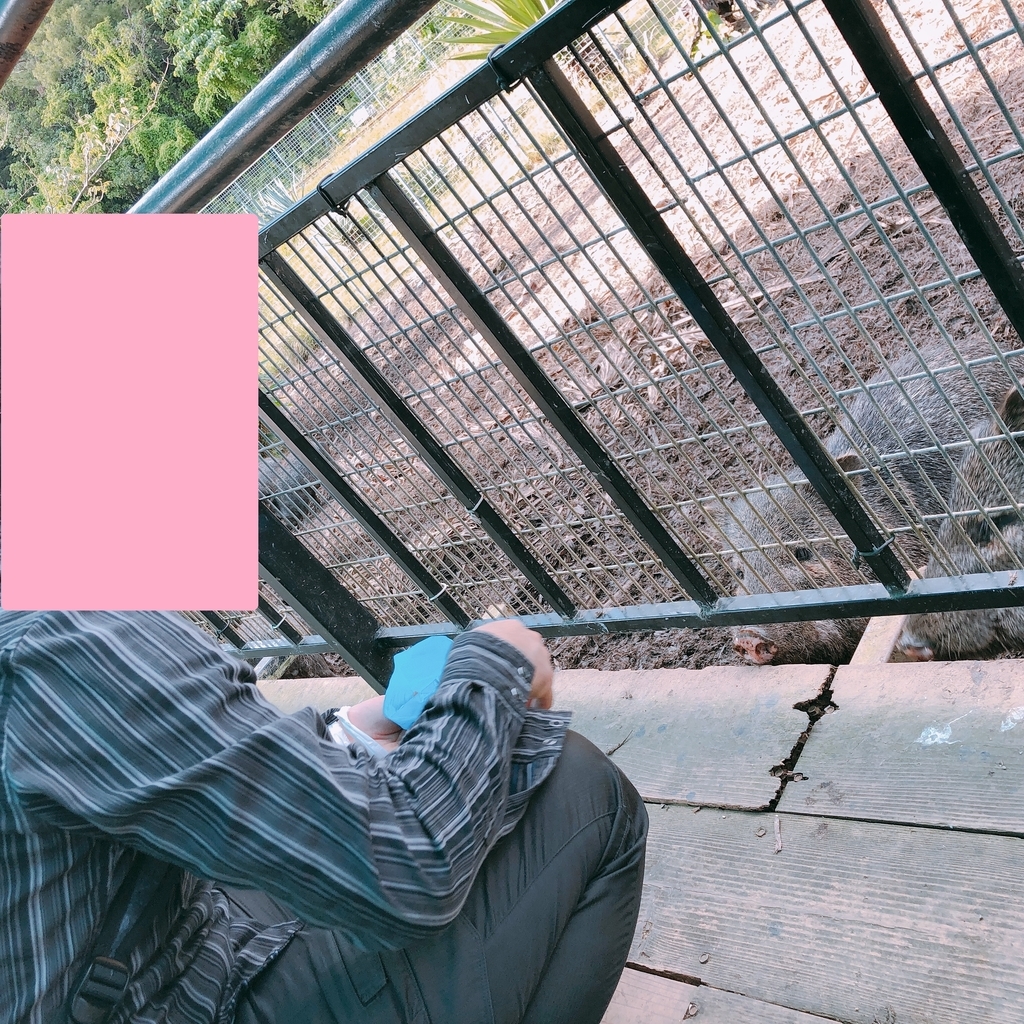 f:id:ayayacha:20190112125826j:plain f:id:ayayacha:20190112125826j:plain