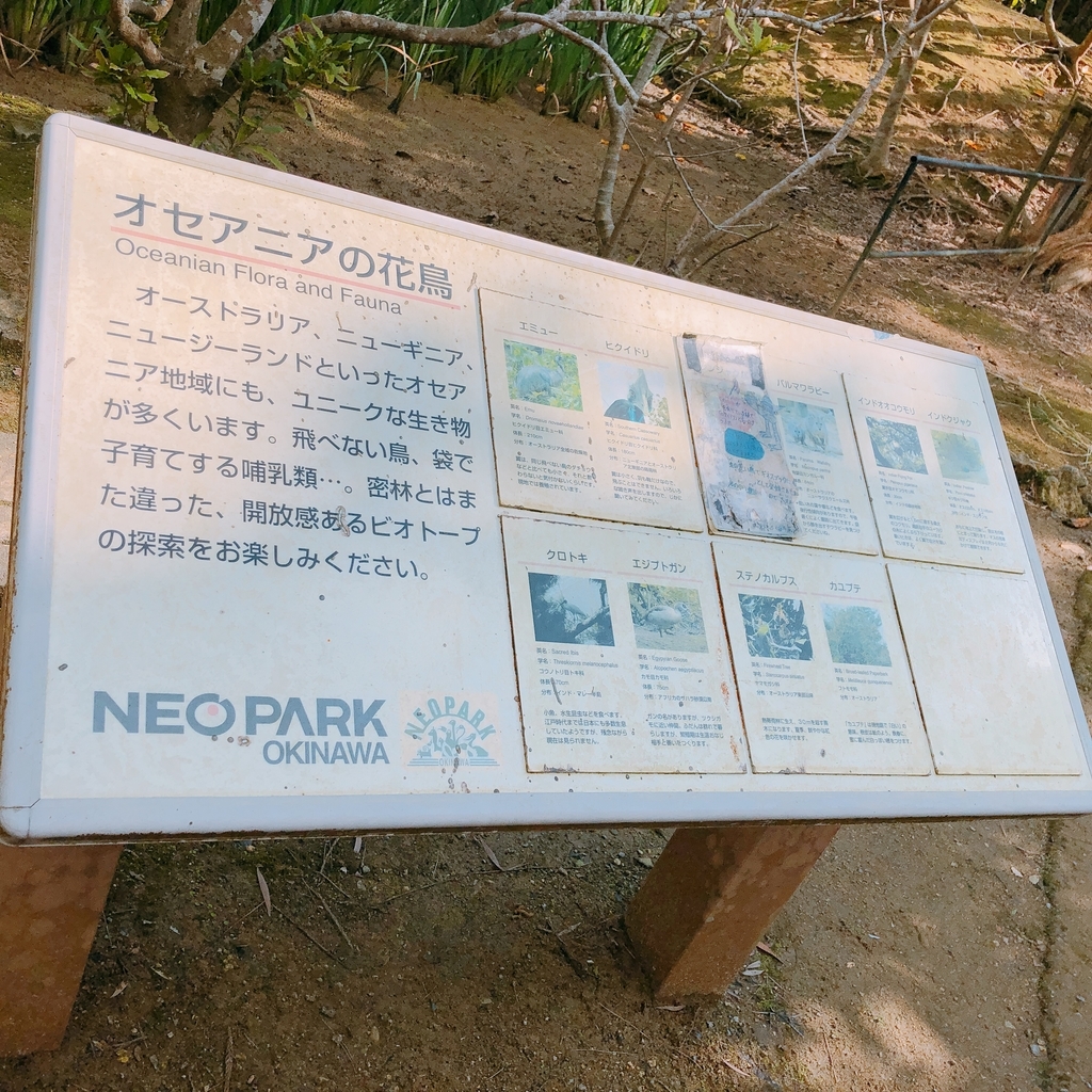 f:id:ayayacha:20190112130232j:plain f:id:ayayacha:20190112130232j:plain