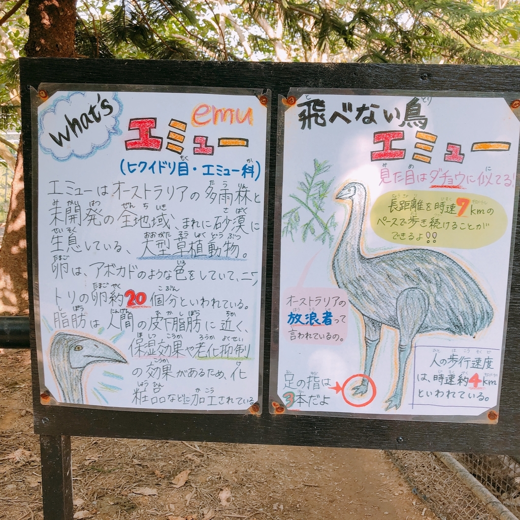f:id:ayayacha:20190112130234j:plain f:id:ayayacha:20190112130234j:plain