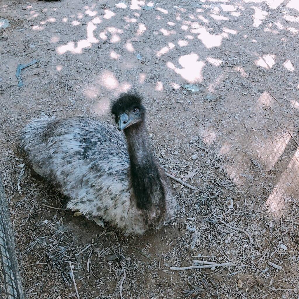 f:id:ayayacha:20190112130241j:plain f:id:ayayacha:20190112130241j:plain
