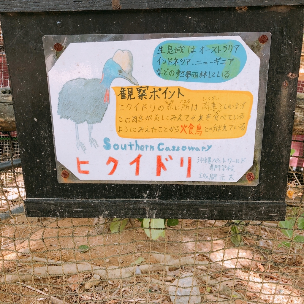 f:id:ayayacha:20190112130258j:plain f:id:ayayacha:20190112130258j:plain