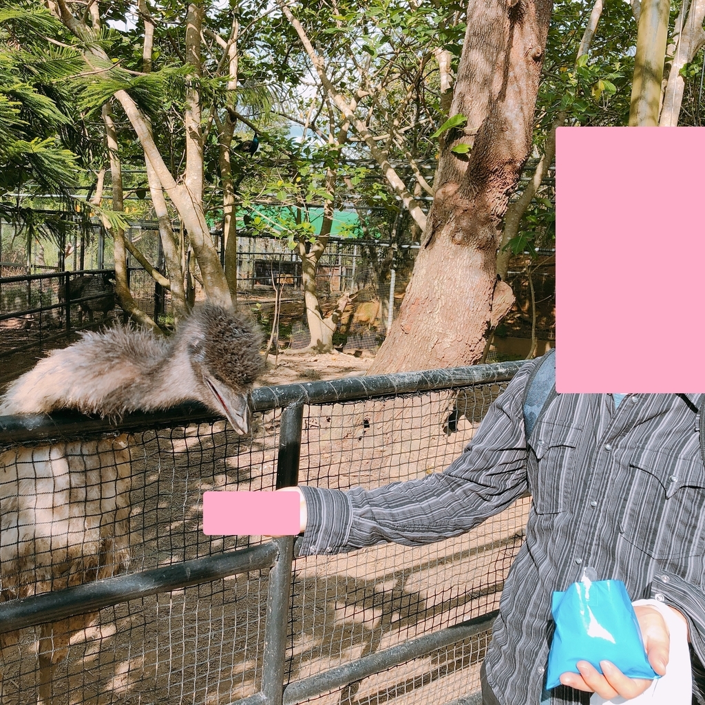 f:id:ayayacha:20190112130449j:plain f:id:ayayacha:20190112130449j:plain