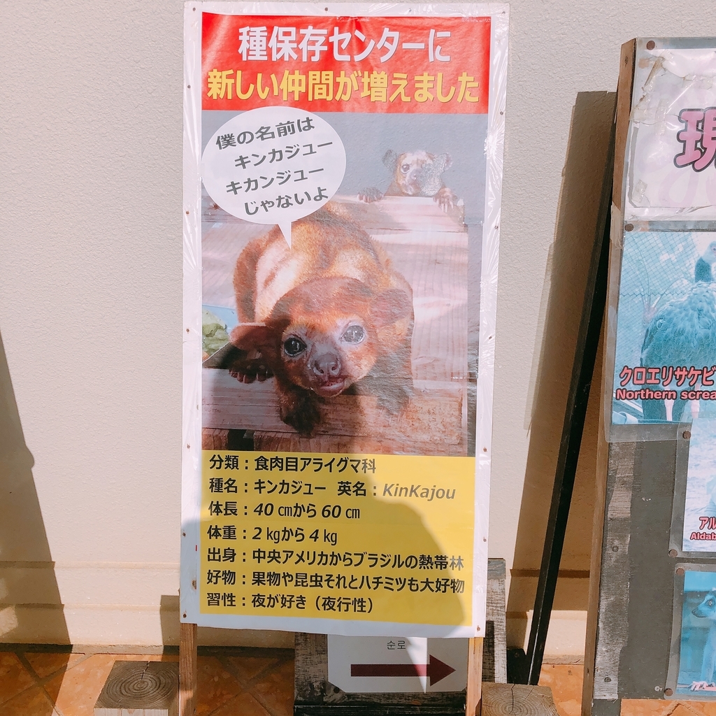 f:id:ayayacha:20190112131116j:plain f:id:ayayacha:20190112131116j:plain