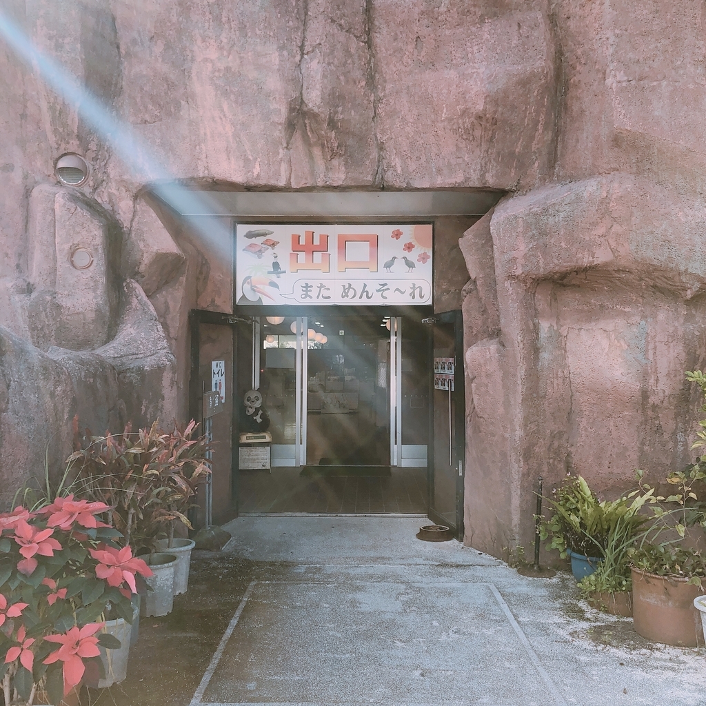 f:id:ayayacha:20190112131128j:plain f:id:ayayacha:20190112131128j:plain