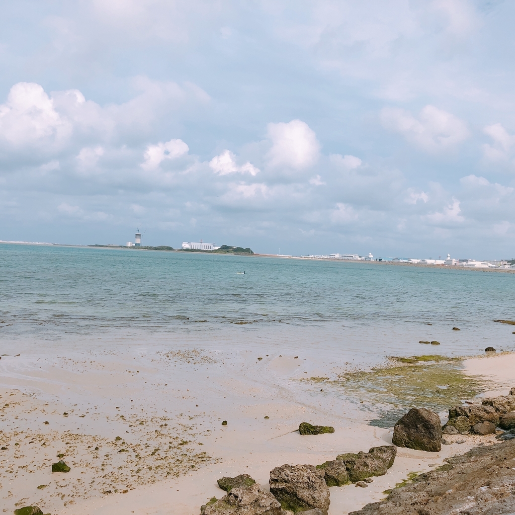 f:id:ayayacha:20190114122956j:plain