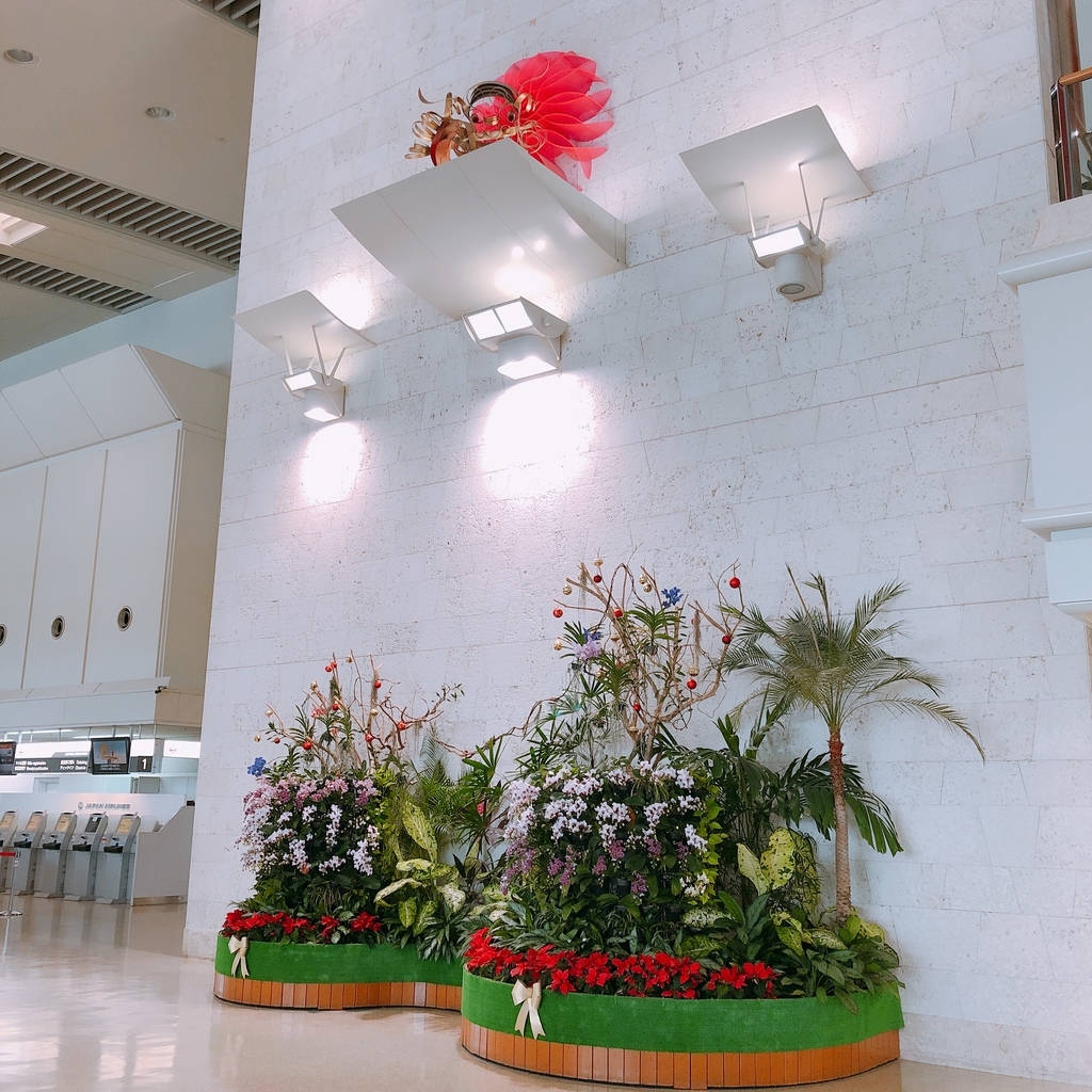 f:id:ayayacha:20190114143842j:plain