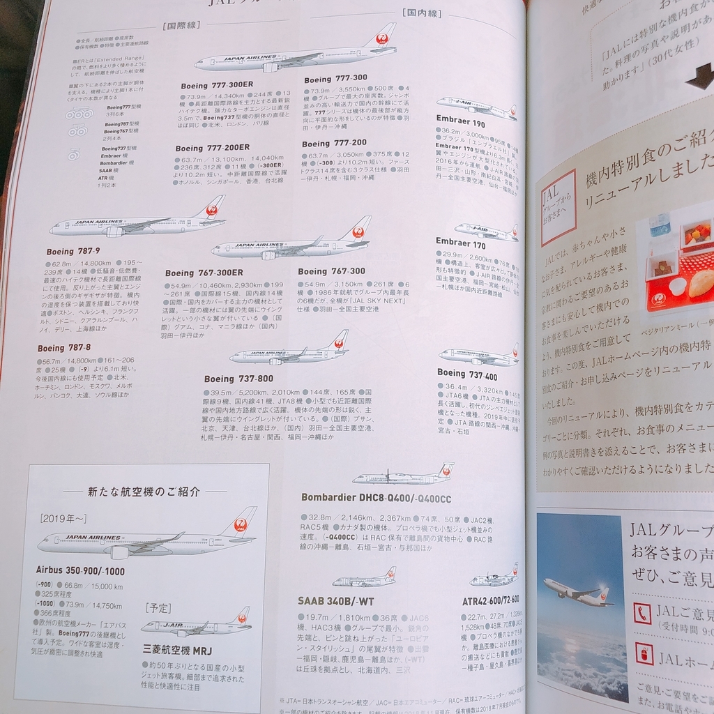 f:id:ayayacha:20190114143953j:plain