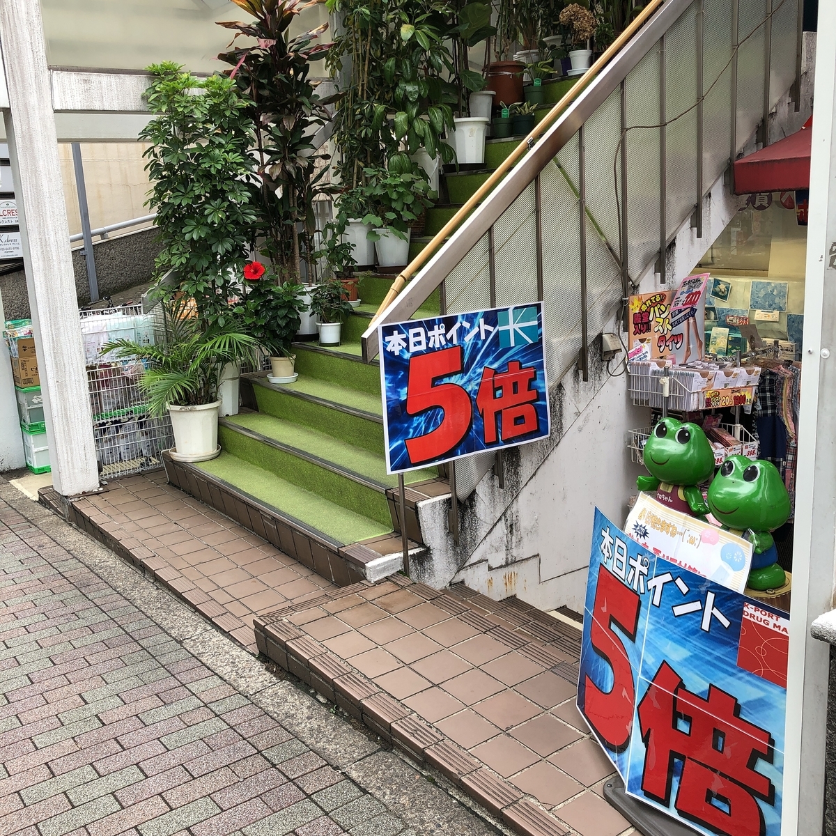 f:id:ayayacha:20190831225350j:plain