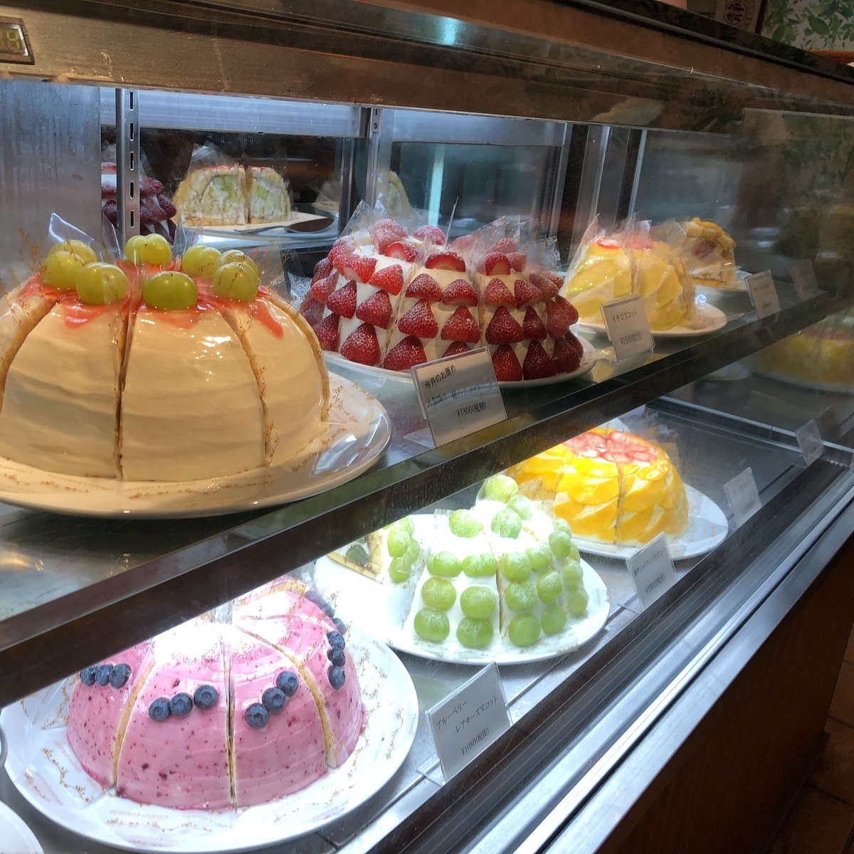 f:id:ayayacha:20190831232549j:plain