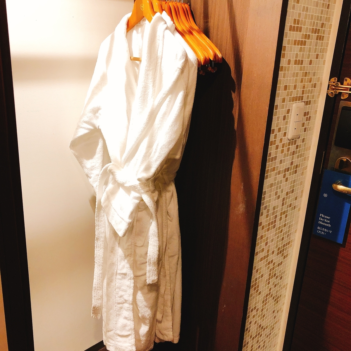 f:id:ayayacha:20200228205132j:plain