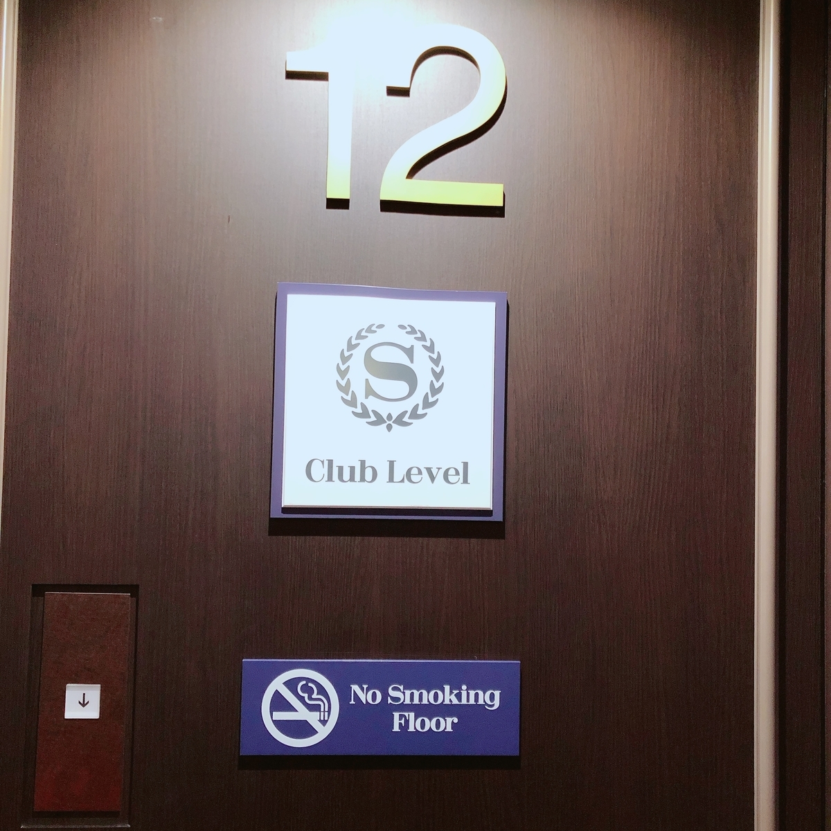 f:id:ayayacha:20200229121229j:plain