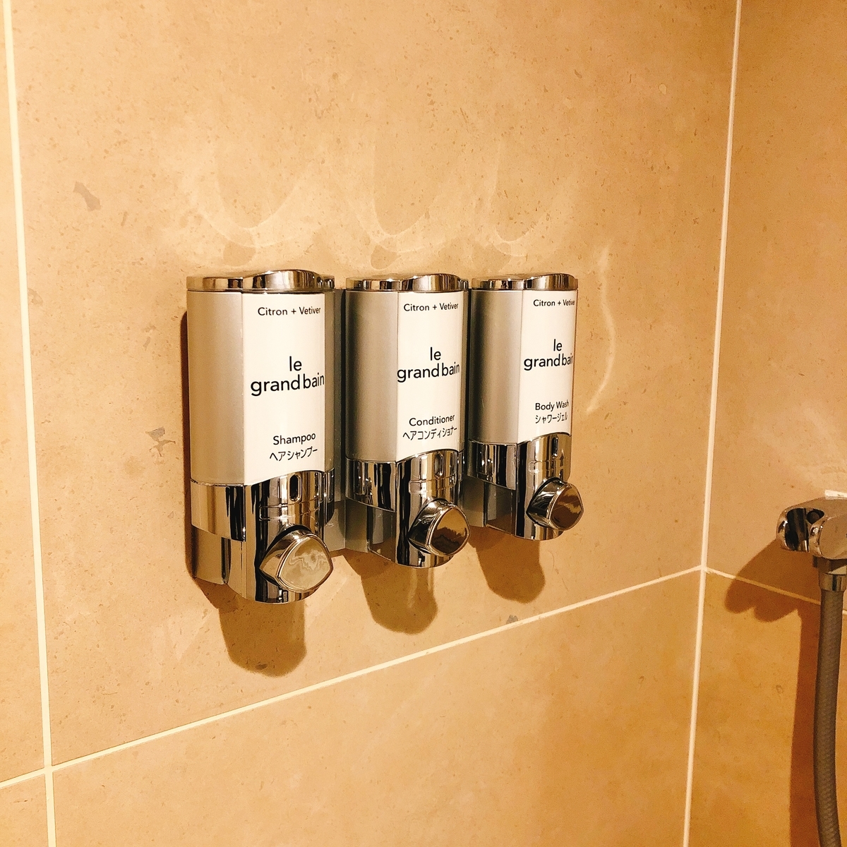 f:id:ayayacha:20200328132839j:plain