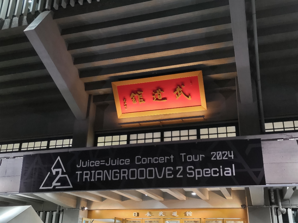 11/20 Juice=Juice 日本武道館 ファミリー席 1階 最前列