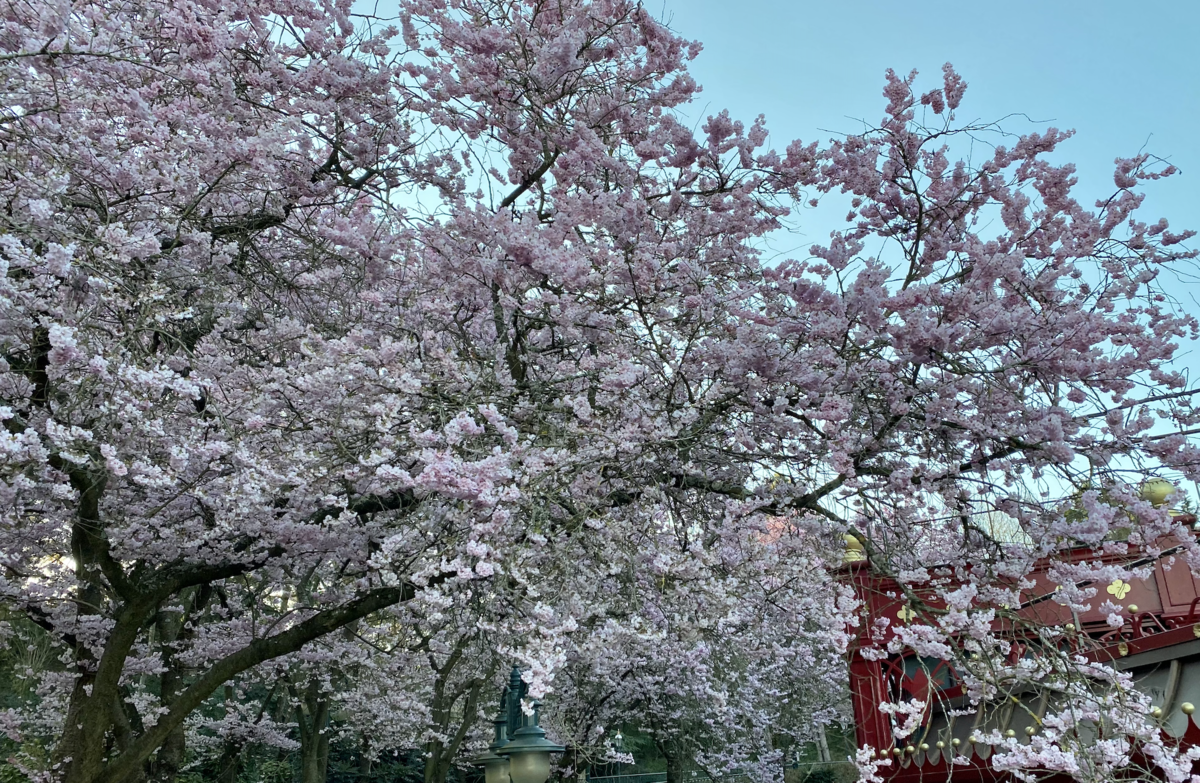 f:id:ayk4:20220324185413p:plain