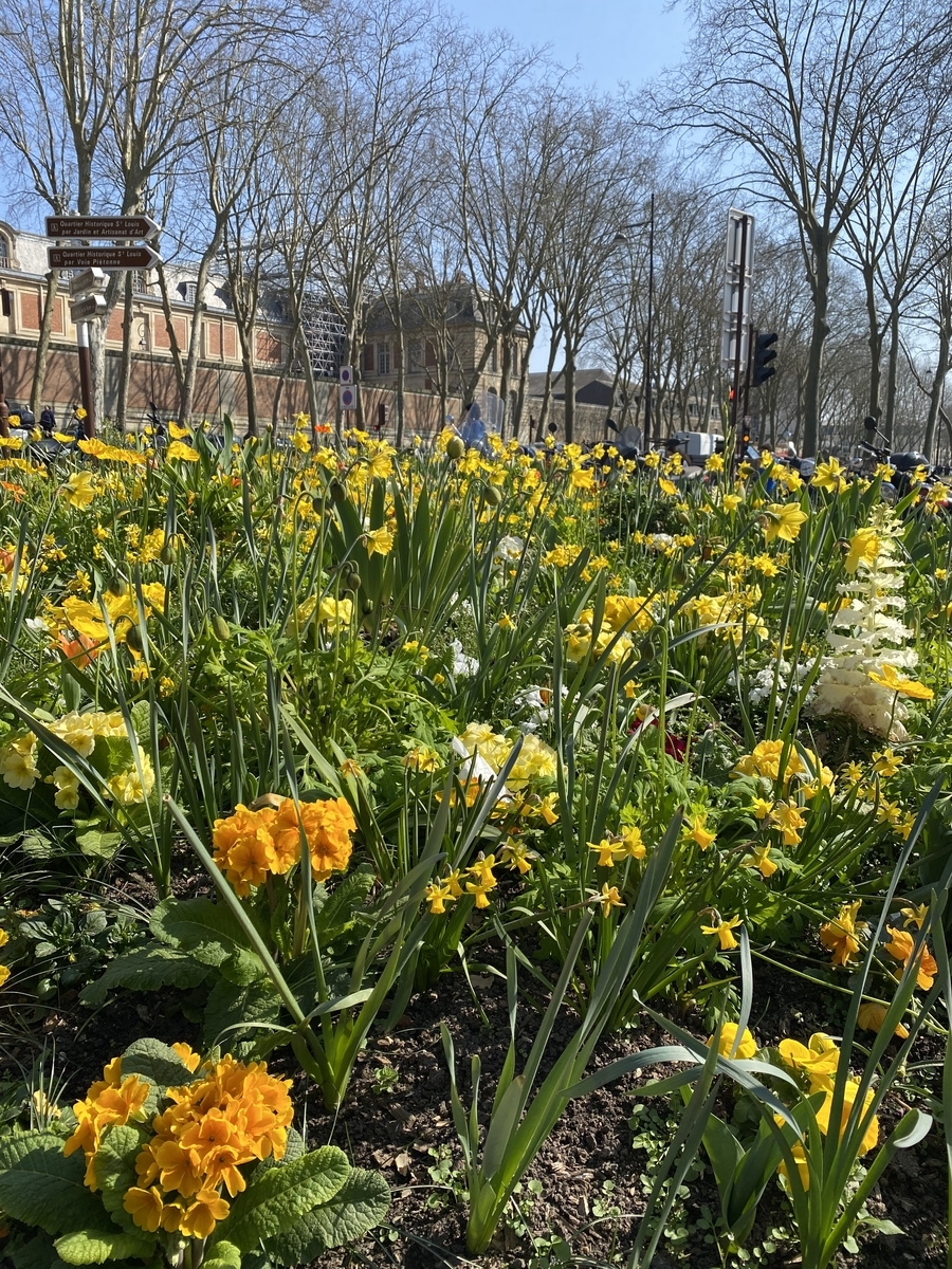 f:id:ayk4:20220326044931j:plain