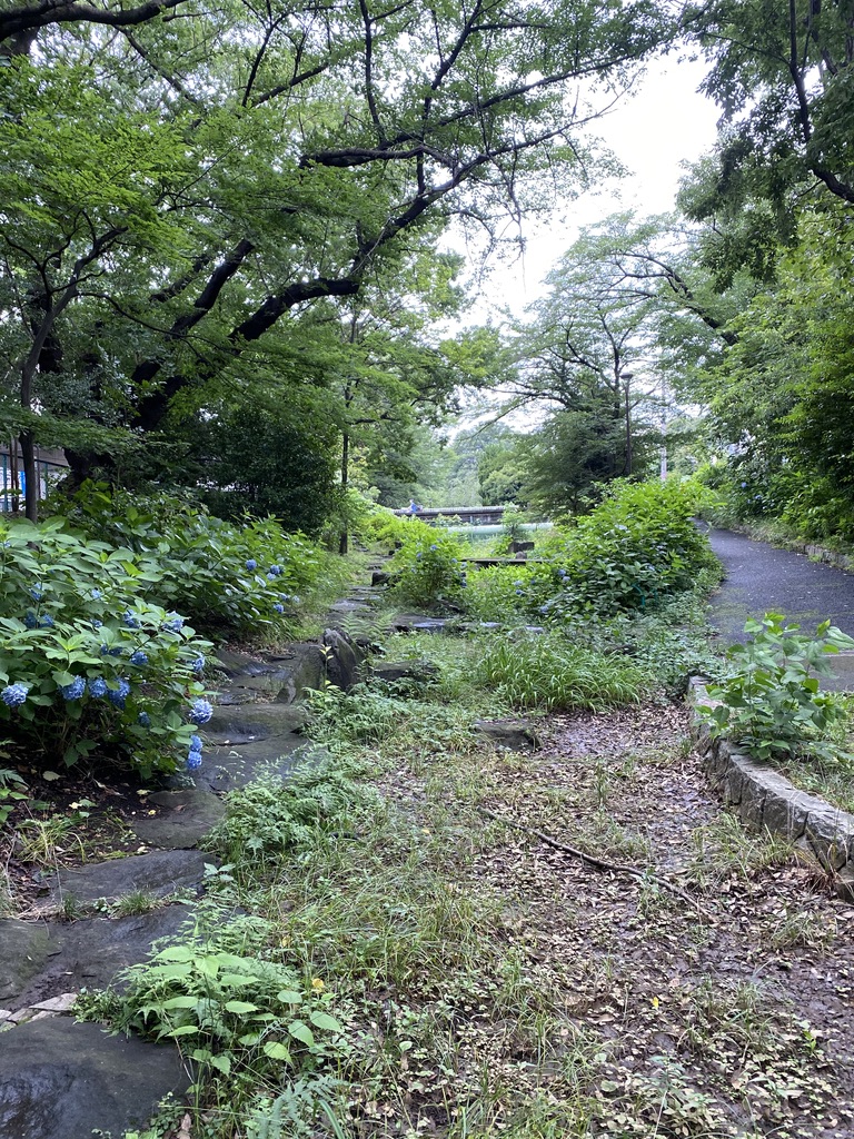 f:id:aykyoto:20200701074147j:plain