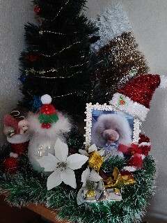 f:id:aymo:20161225002430j:plain