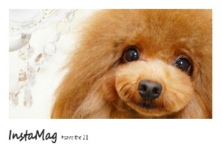 f:id:aymo:20170205205905j:plain f:id:aymo:20170205205905j:plain