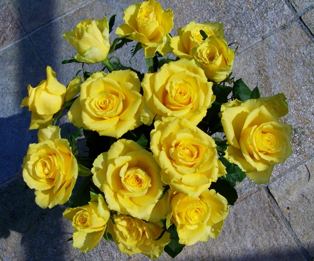 f:id:ayn-n02:20180801200017j:plain f:id:ayn-n02:20180801200017j:plain