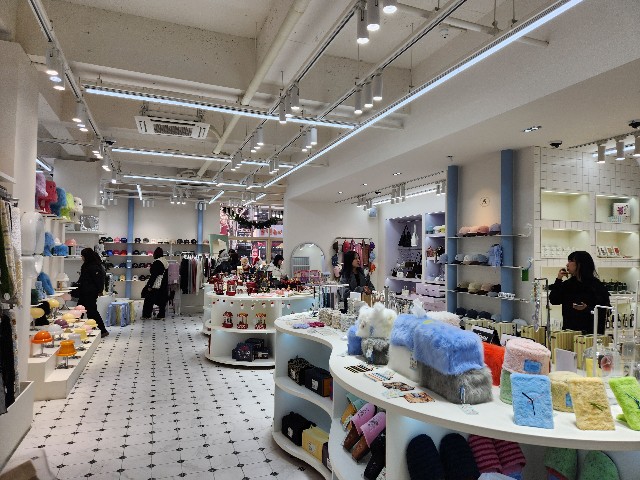 f:id:aynud:20250205015726j:image