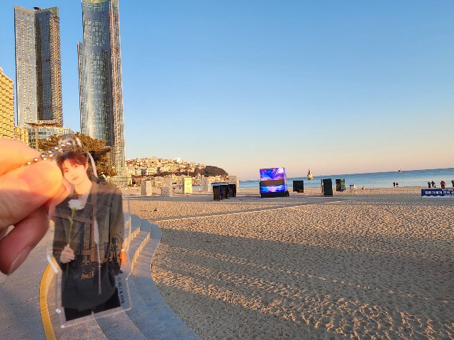 f:id:aynud:20250205021249j:image